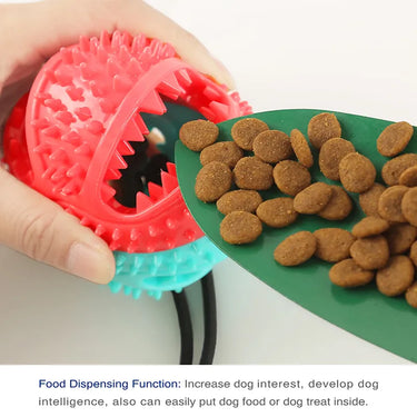 Energy Buster Interactive Dog Feeder